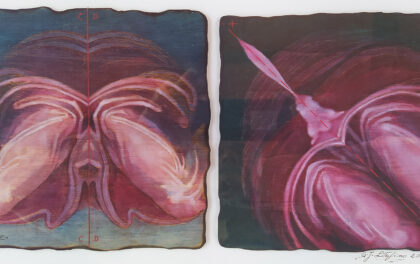 Separazione della luce dalle tenebre